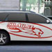 During our cooperation, we done many promotional material like this car sticker.